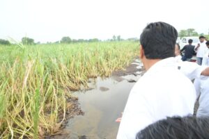 मराठवाड्यात सर्वत्र सध्या पाणीच पाणी