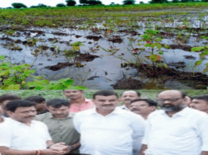 पिकांचे-नुकसान